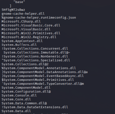 Output of strings showing .NET and Microsoft references